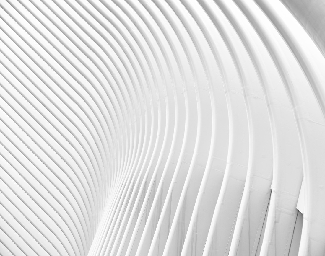 textura alba arhitectura