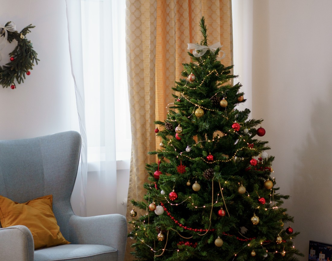 Brad de Craciun mic pe care il poti planta afara