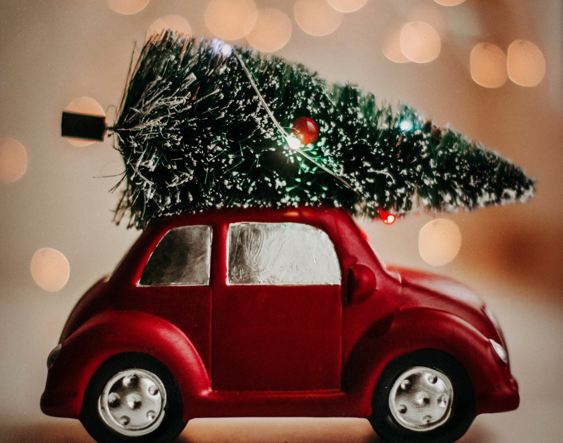 Brad de Craciun foarte mic