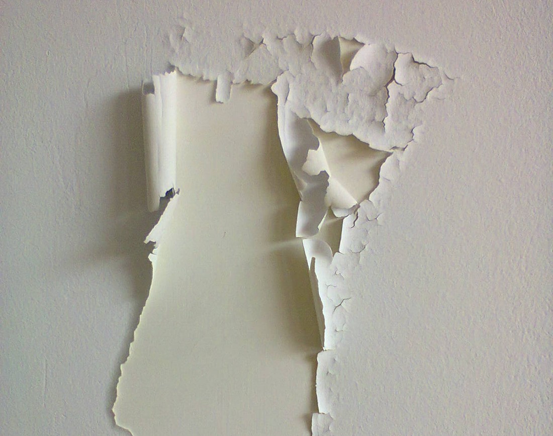 de ce se exfoliaza vopseaua lavabila