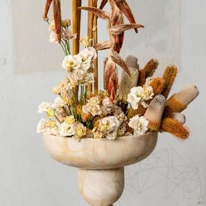 Раковина Аврора - Доломитовый закат 