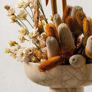 Раковина Аврора - Доломитовый закат 