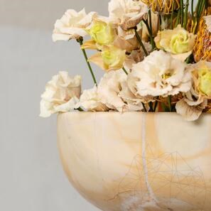 Раковина Аврора - Доломитовый закат 