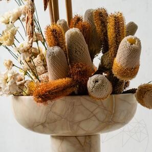 Раковина Аврора - Доломитовый закат 