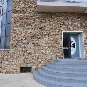 Ardezie Homa 3D Strips | Piatra Decorativa pt. Placari Verticale, Exterior-Interior (10-12 mp/palet)