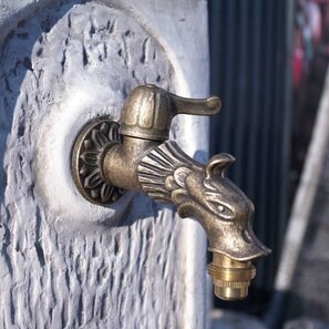 Robinet cismea gradina Leu