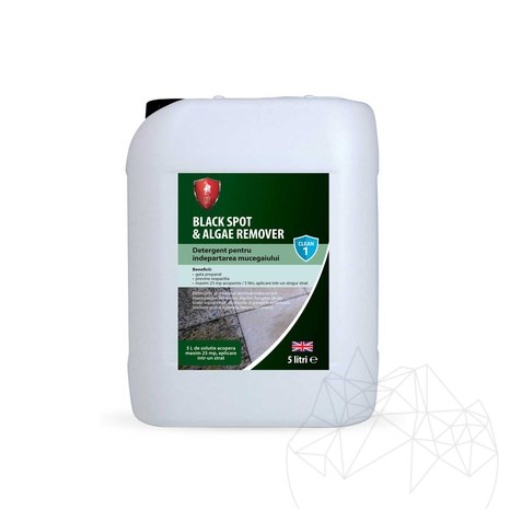 LTP Profesional Black Spot - Detergent antimucegai, alge, fungi, pt. pavaje exterioare, 5 L