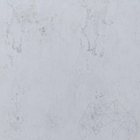 Ardezie Flexibila SKIN MicroStone 1mm - White Star, 122x61cm | Piatra Ultra-Flexibila pt Pereti, Mobilier, Fatade