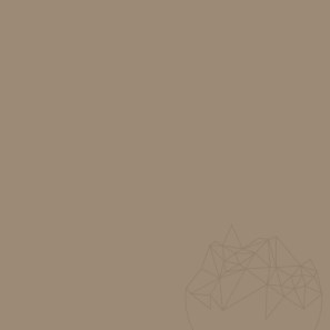 Chit rosturi - Multifill-Smalto, Rost 1-8 mm, 09 LIGHT BROWN, 2 kg