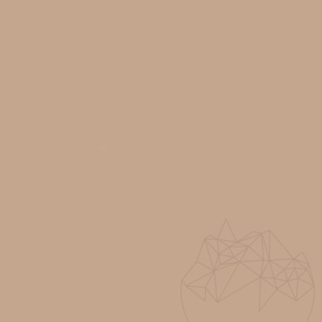 Chit rosturi - Multifill-Smalto, Rost 1-8 mm, 21 CARAMEL, 4 kg